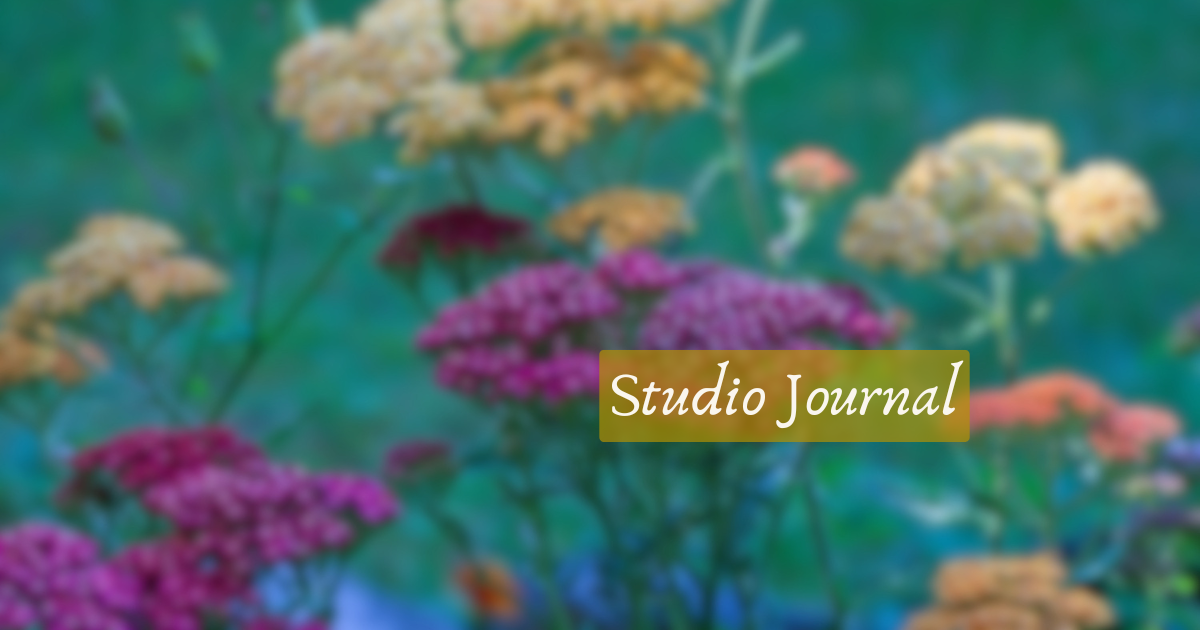 Summer Foraging for Materials, Medicine and Meals