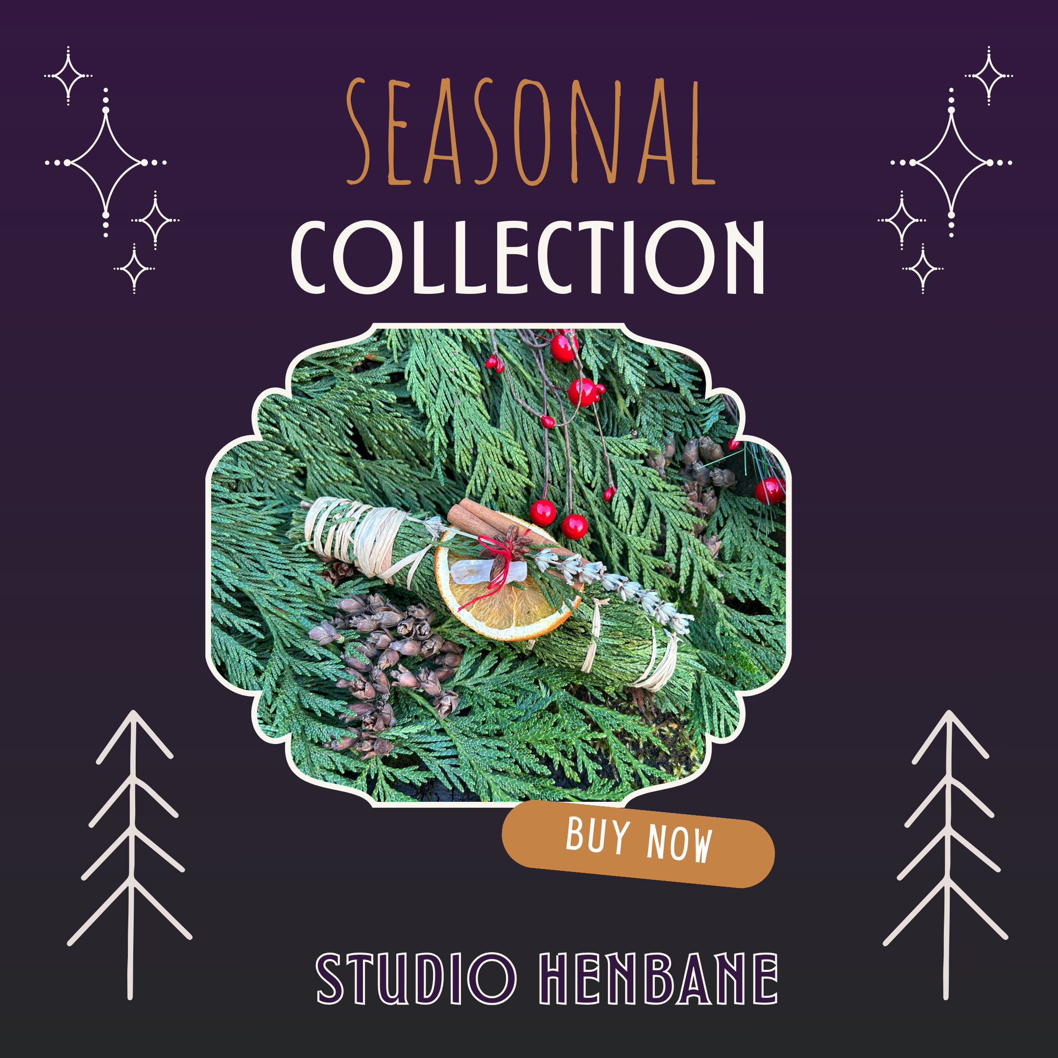 Seasonal Collection