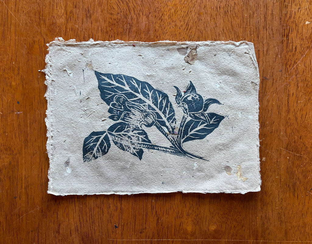Deadly Nightshade | Poison Garden Original Block Print, Handmade Paper Edition 1/1