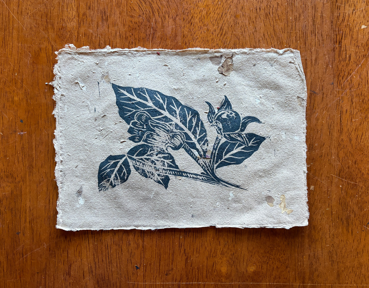 Deadly Nightshade | Poison Garden Original Block Print, Handmade Paper Edition 1/1
