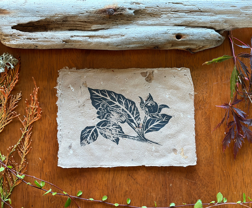 Deadly Nightshade | Poison Garden Original Block Print, Handmade Paper Edition 1/1