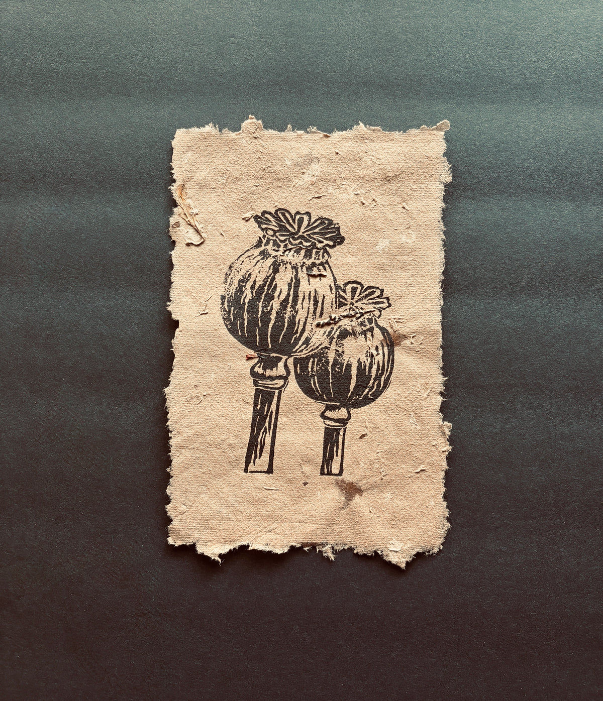 Opium Poppy | Poison Garden Original Block Print, Handmade Paper Edition 1/1